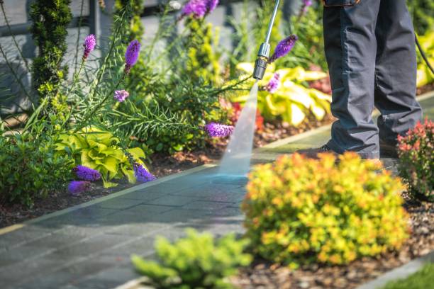 Professional Pressure Washing Services in Iselin, NJ